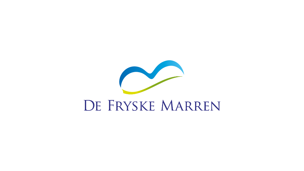 logo dfm